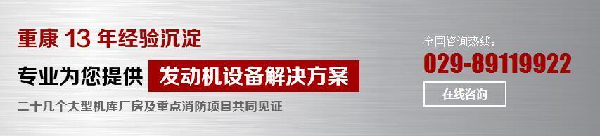康明斯发动机租赁 康明斯发动机租赁